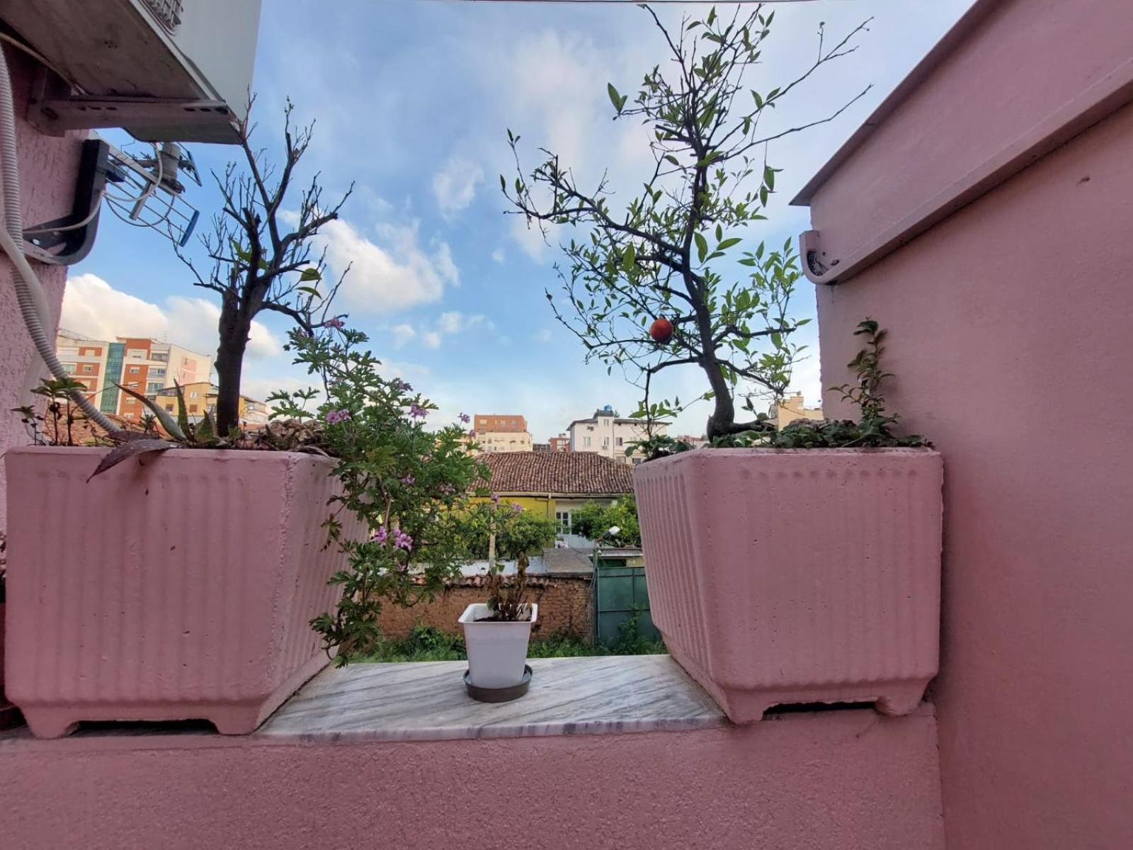 Gex Guest House 地拉那 外观 照片